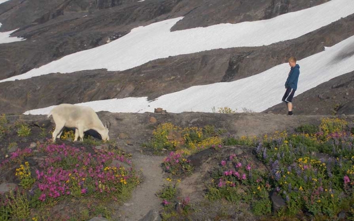 mountaineering lessons